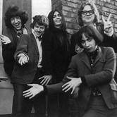 Artist Flamin' Groovies